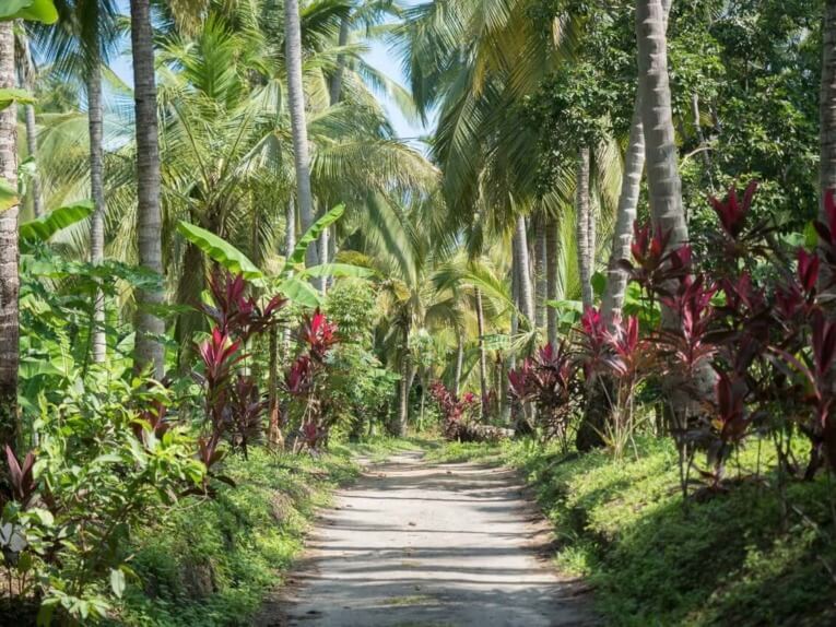 que-faire-aux-alentours-de-santa-marta