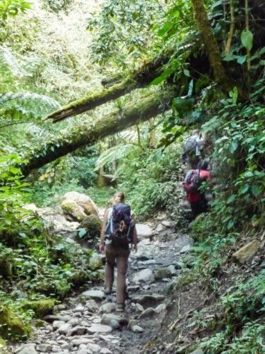 Trek au parc los nevados randonnée colombie