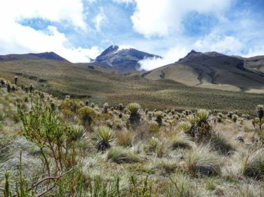Trek au parc los nevados randonnée colombie