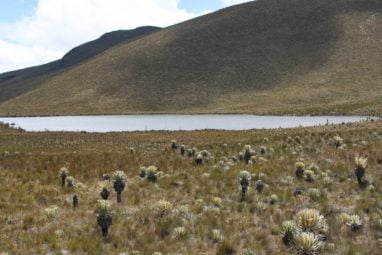 lago del encanto Trek au parc los nevados randonnée colombie