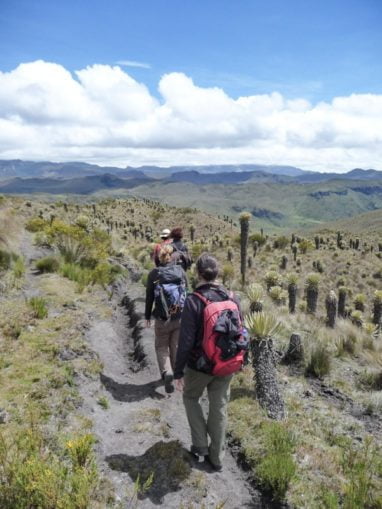 Trek au parc los nevados randonnée colombie