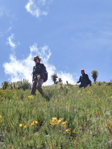 Trek au parc los nevados randonnée colombie
