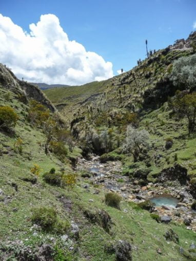 Trek au parc los nevados randonnée colombie