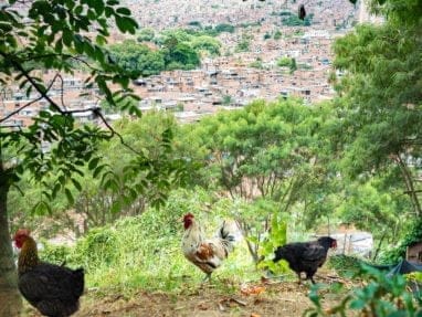 moravia visiter medellin hors des sentiers battus voyage colombia