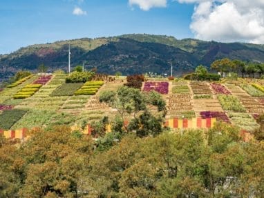moravia visiter medellin hors des sentiers battus voyage colombia