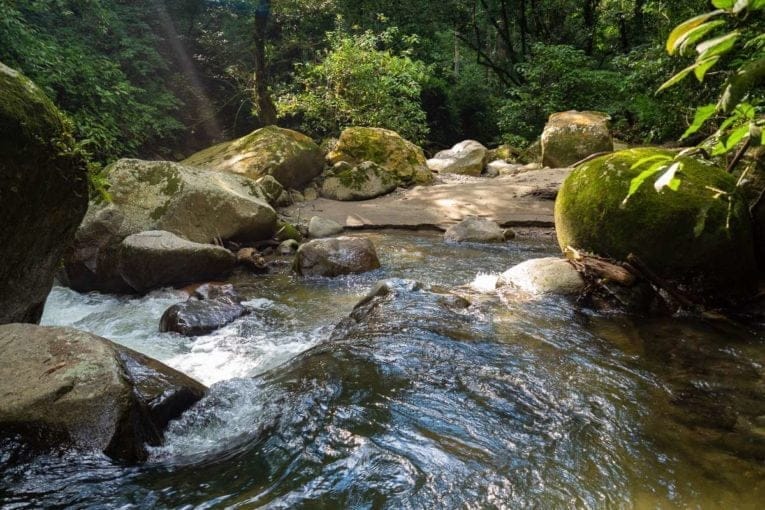 Minca dans la Sierra Nevada de Santa Marta en Colombie