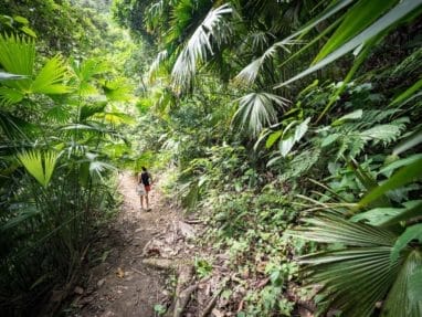 Cascada perdida Minca dans la Sierra Nevada Colombie