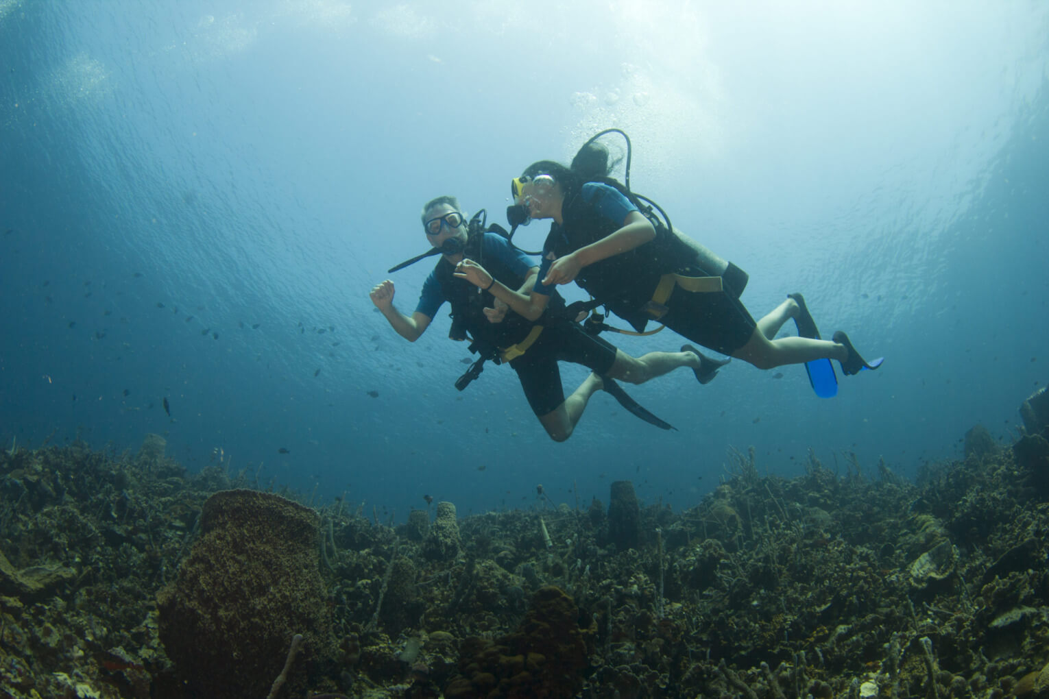 Plongée sous-marine à Cartagena Islas del Rosario en Colombie