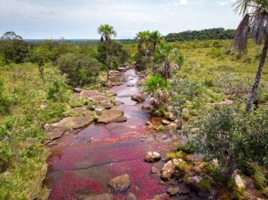 Tranquilandia, le petit caño cristales dans le Guaviare en Colombie