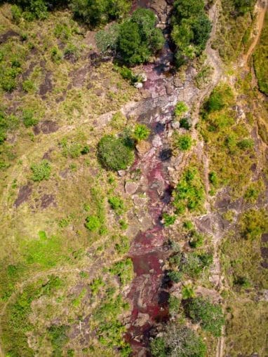 Tranquilandia, le petit caño cristales dans le Guaviare en Colombie