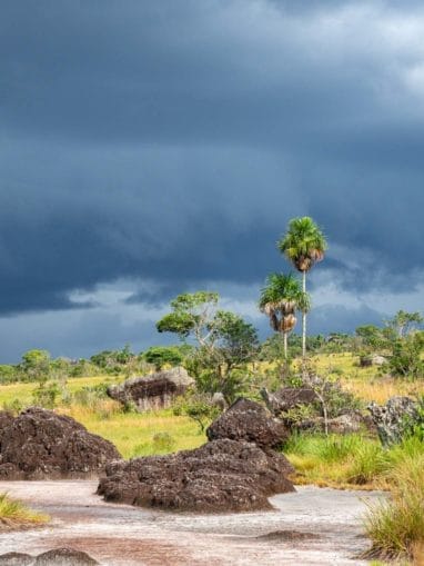 Formations rocheuses dans le Guaviare en Colombie