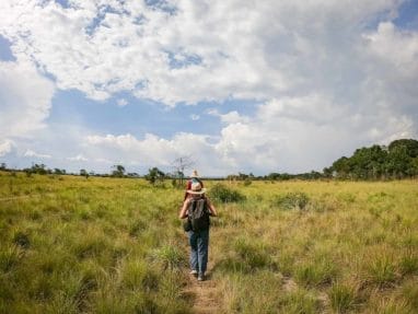 Paysage de savane dans le Guaviare