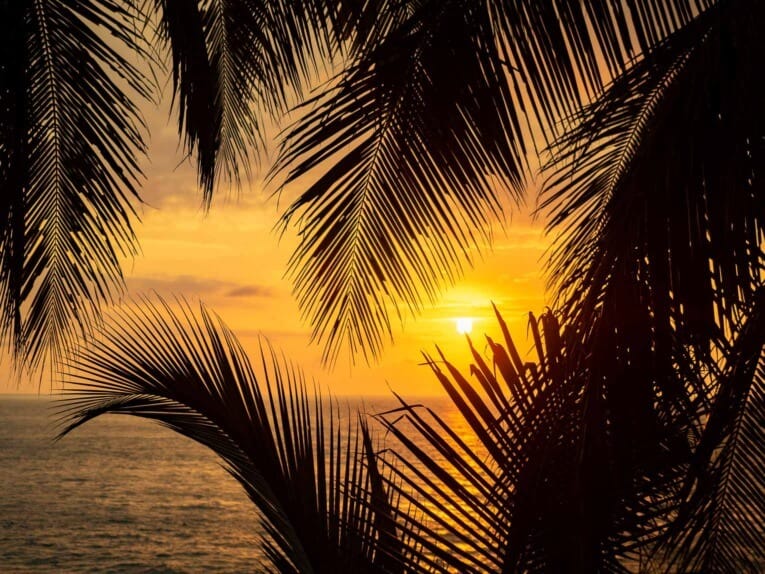 Hotel Punta Brava, Arusi, Choco