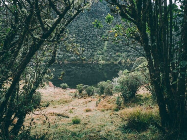 Trek au Paramo de Oceta