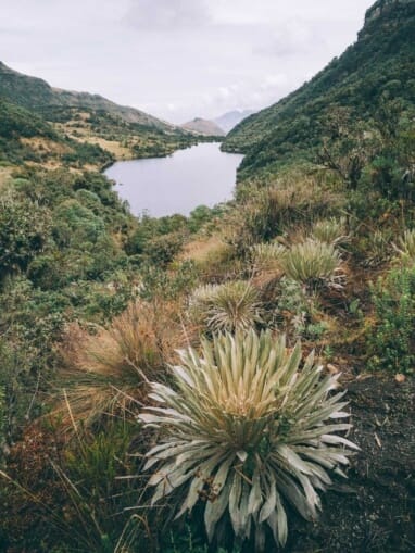 Trek au Paramo de Oceta