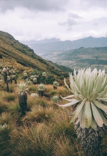 Trek au Paramo de Oceta