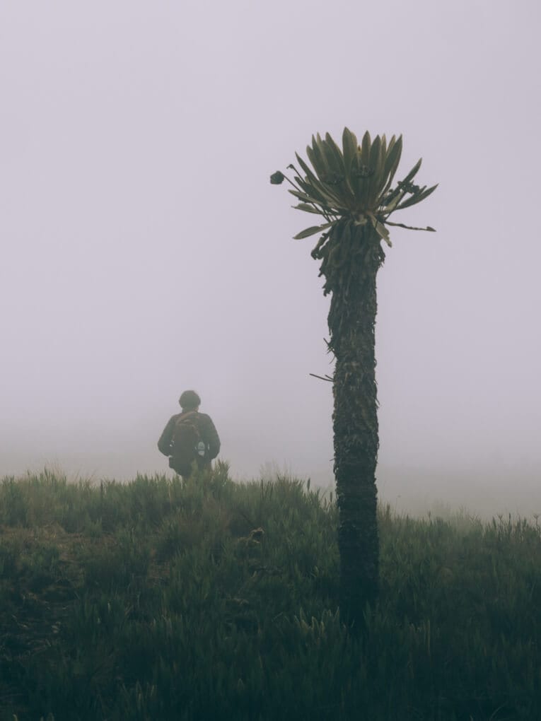Trek au Paramo de Oceta