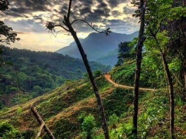 Ciudad Perdida, le trek inoubliable de la Cité Perdue