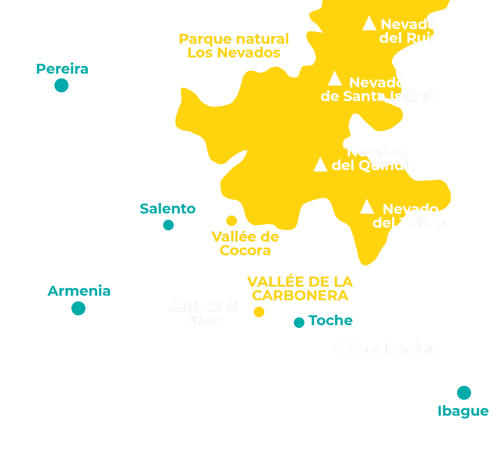 Vallée de la Carbonera (Tochecito), la plus grande forêt de palmiers de cire de Colombie