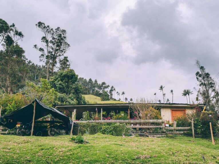 Vallée de la Carbonera (Tochecito), la plus grande forêt de palmiers de cire de Colombie