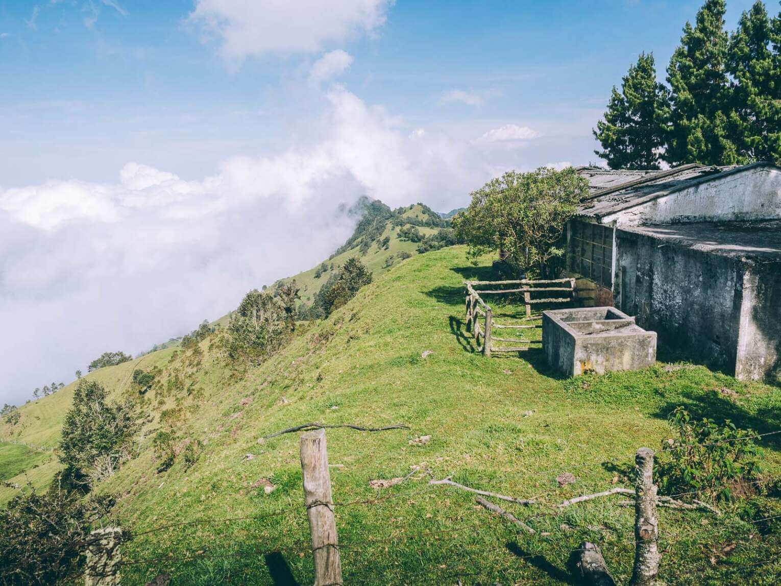 Vallée de la Carbonera (Tochecito), la plus grande forêt de palmiers de cire de Colombie