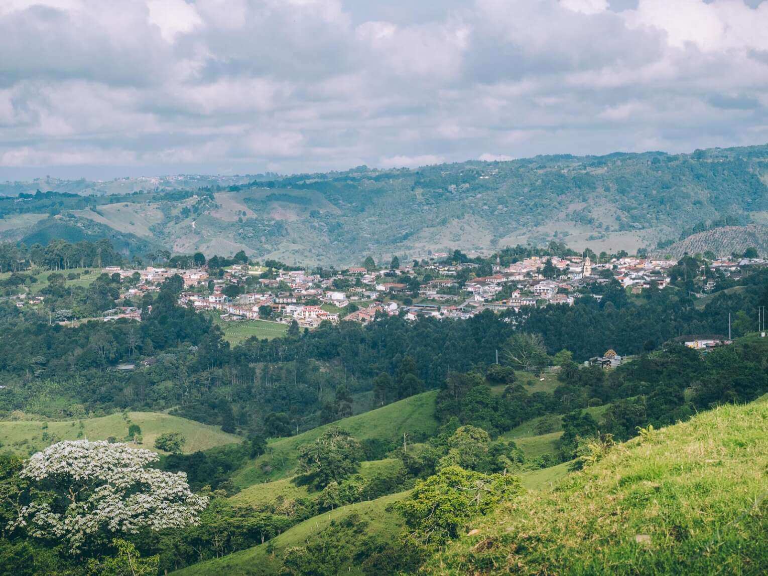 Vallée de la Carbonera (Tochecito), la plus grande forêt de palmiers de cire de Colombie
