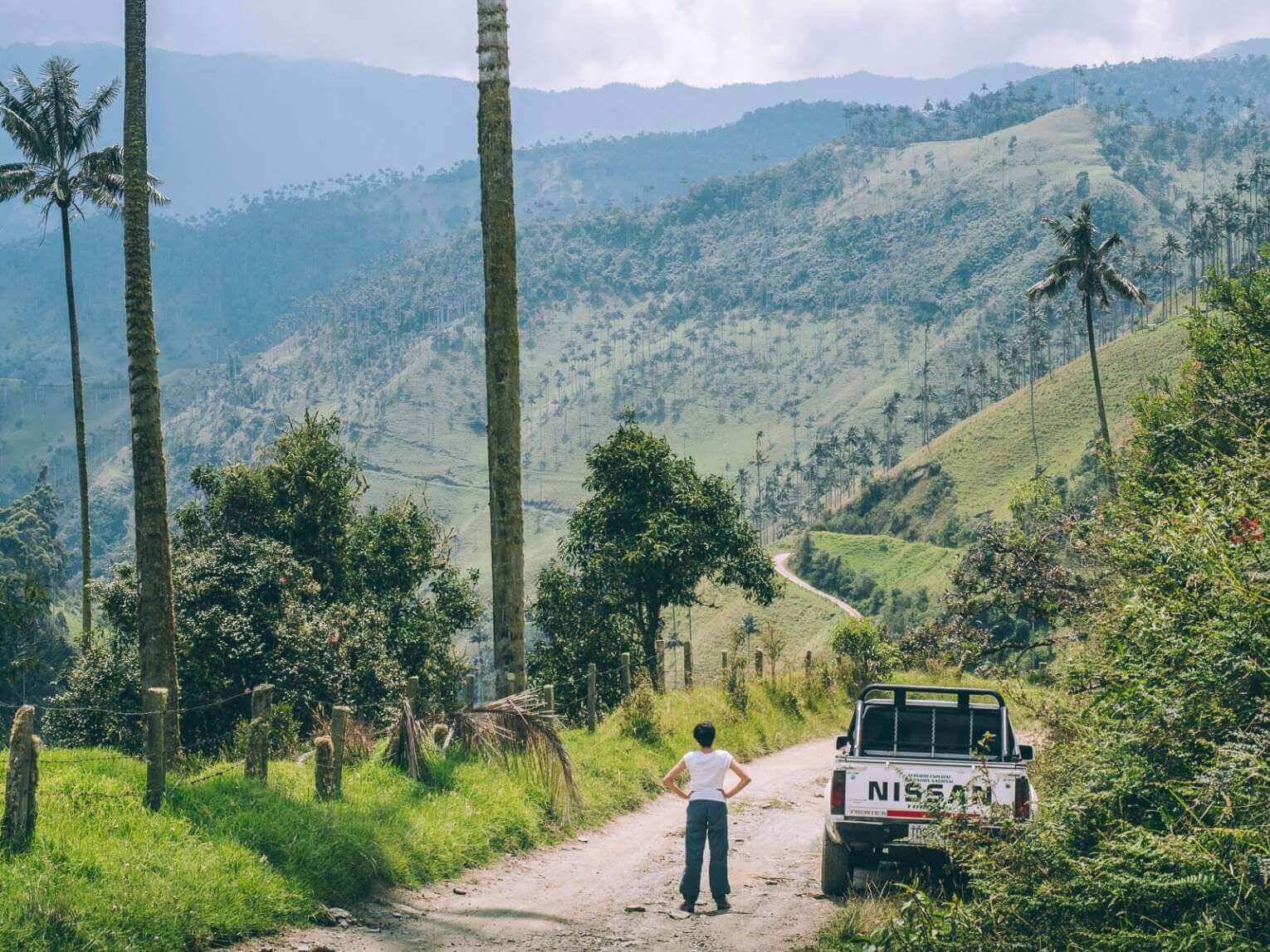 Vallée de la Carbonera (Tochecito), la plus grande forêt de palmiers de cire de Colombie