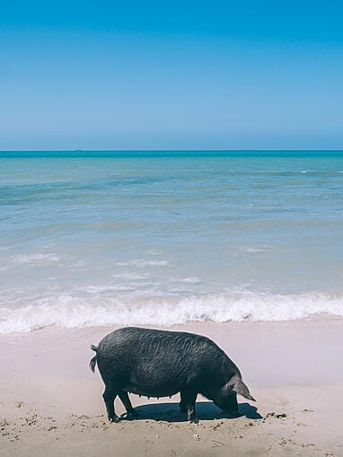 Que faire à Rincon del mar sur la côte caraïbe