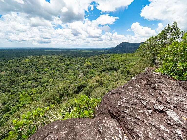 Cerro Azul, la chapelle sixtine de l’Amazonie dans le Guaviare