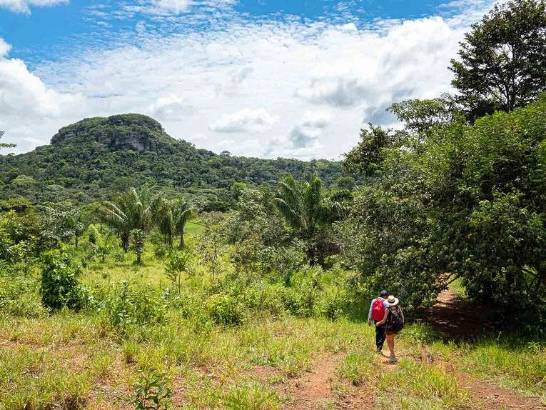 Cerro Azul, la chapelle sixtine de l’Amazonie dans le Guaviare