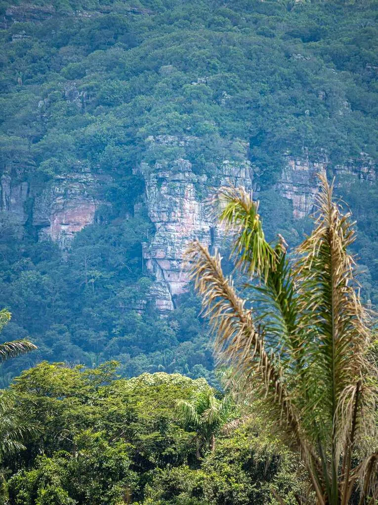 Cerro Azul, la chapelle sixtine de l’Amazonie dans le Guaviare