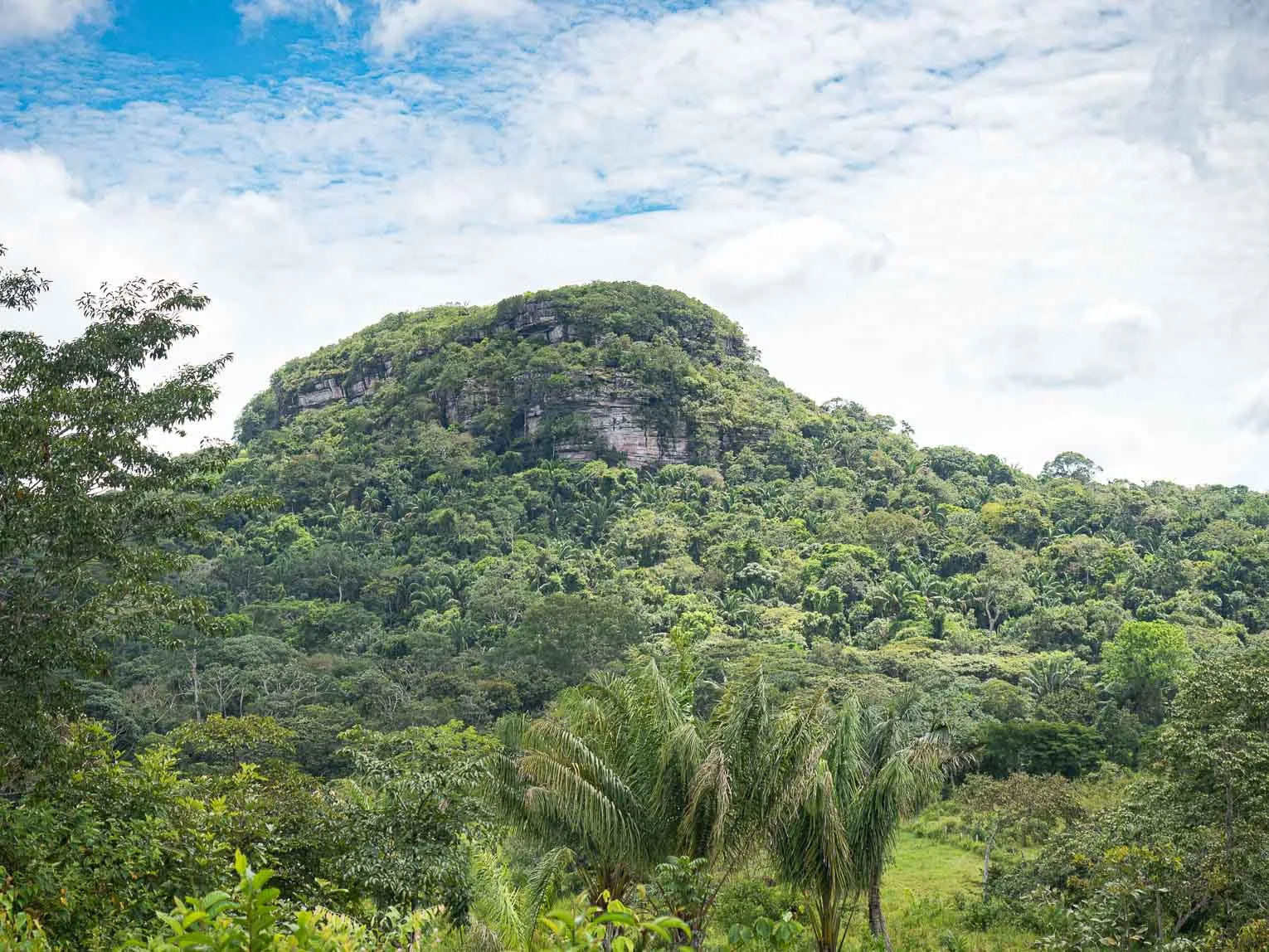 Cerro Azul dans le Guaviare, la chapelle sixtine de l'Amazonie