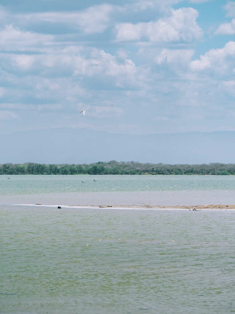 Voir les flamants roses au Sanctuaire de faune et de flore de Los Flamencos