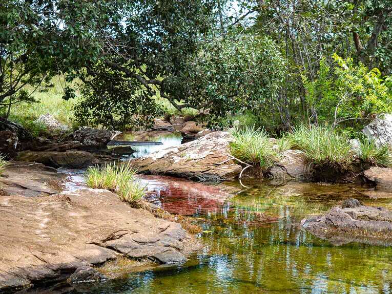 Caño Sabana Guaviare, la rivière colorée Trankilandia (le petit caño cristales)