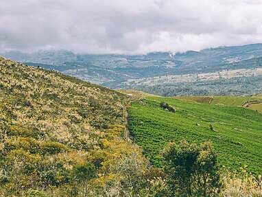 Trek au Paramo de Sumapaz, une belle randonée autour de Bogota