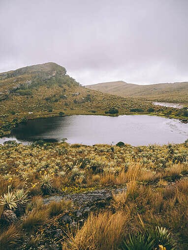 Trek au Paramo de Sumapaz, une belle randonée autour de Bogota