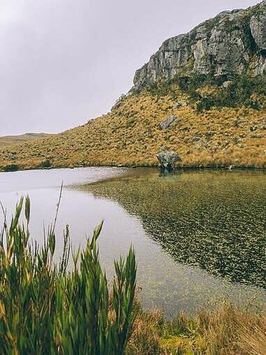 Trek au Paramo de Sumapaz, une belle randonée autour de Bogota