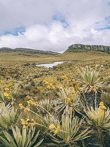 Trek au Paramo de Sumapaz, une belle randonée autour de Bogota