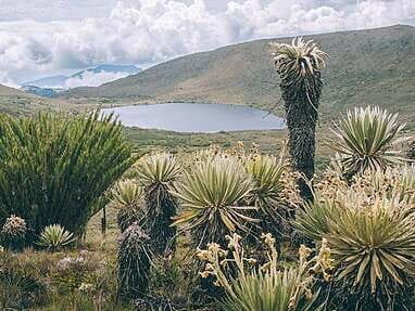 Trek au Paramo de Sumapaz, une belle randonée autour de Bogota