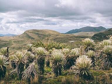 Trek au Paramo de Sumapaz, une belle randonée autour de Bogota