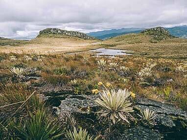 Trek au Paramo de Sumapaz, une belle randonée autour de Bogota