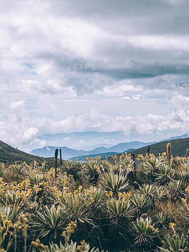 Trek au Paramo de Sumapaz, une belle randonée autour de Bogota