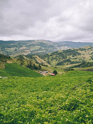 Trek au Paramo de Sumapaz, une belle randonée autour de Bogota