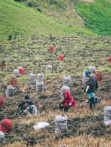 Trek au Paramo de Sumapaz, une belle randonée autour de Bogota