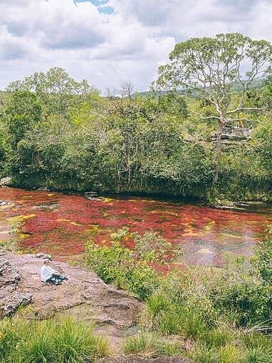 Guide pour visiter Caño Cristales, la plus belles rivière du monde