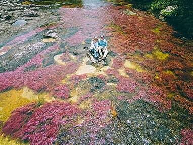 Guide pour visiter Caño Cristales, la plus belles rivière du monde