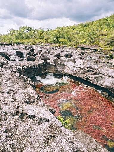 Guide pour visiter Caño Cristales, la plus belles rivière du monde
