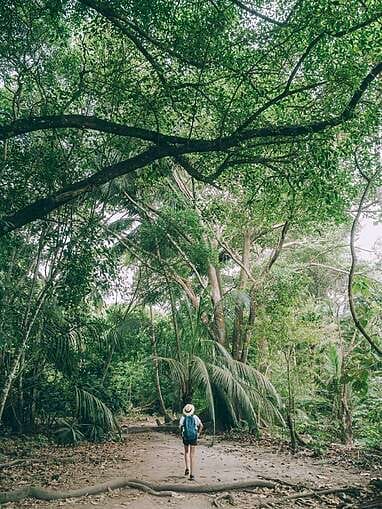 Visiter le parc Tayrona, toutes les infos pratiques 2024