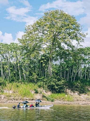Cerros de Mavecure, le plus beau paysage de Colombie ?