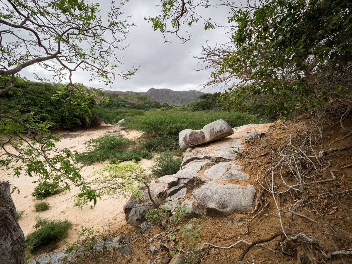Le Parc Naturel de La Macuira dans le désert de la Guajira